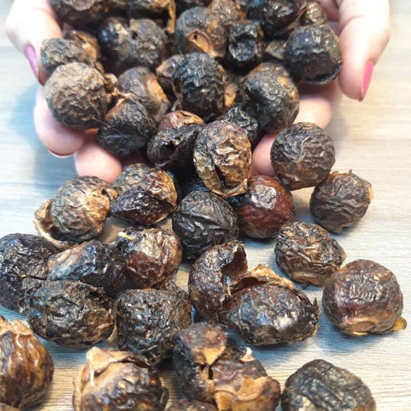 Soap Nuts as a Natural Detergent.  Put Them into the Washing Machine or the Dishwasher