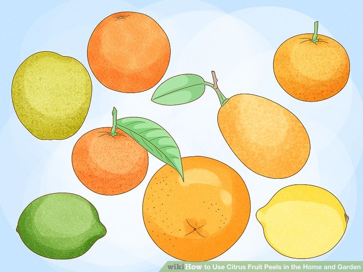 How to Use Citrus Fruit Peels in the Home and Garden