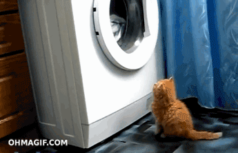 How To Clean Your Washing Machine