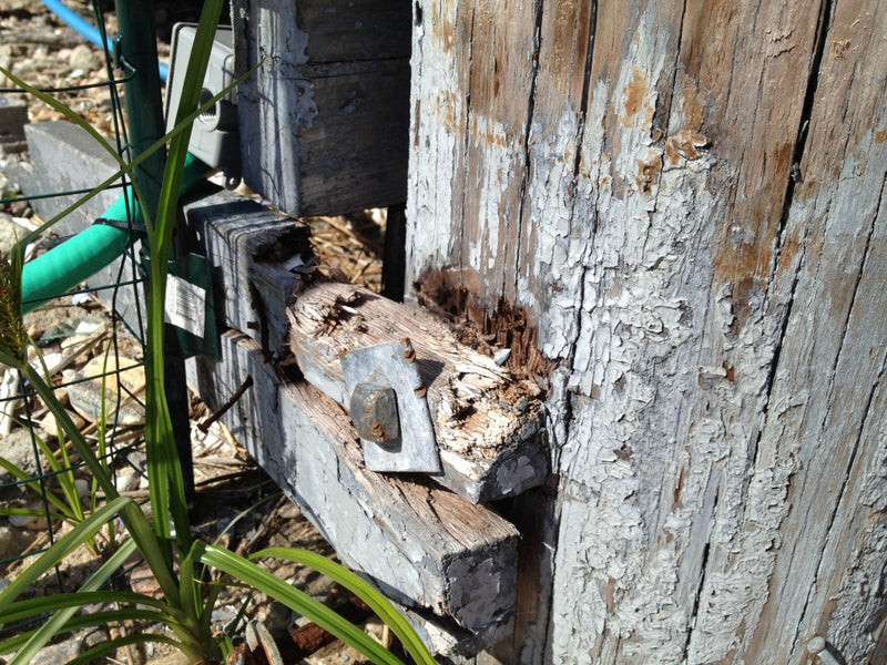 ￼What Termites Teach Us About How to Be Better Organized