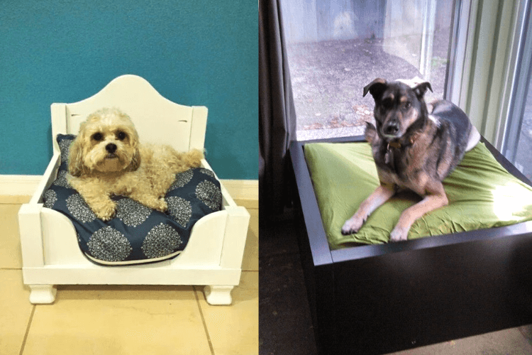 6 IKEA Furniture Hacks for a happy Dog’s Life