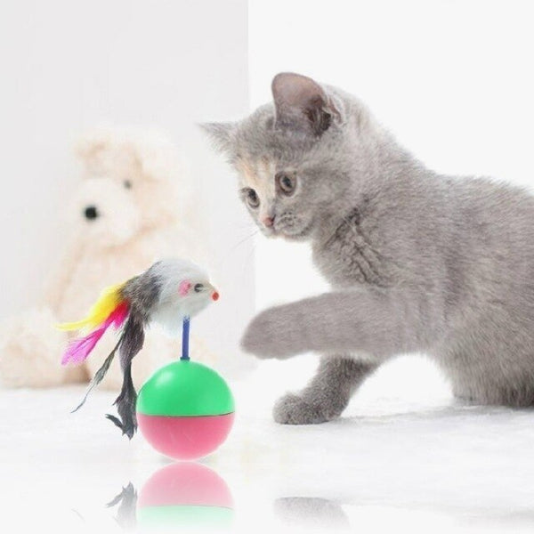 Exquisite Best Cat Toys