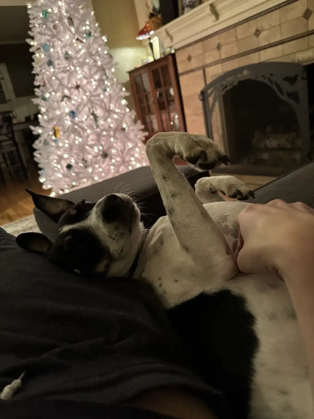 The Only Gift I Ever Ask For