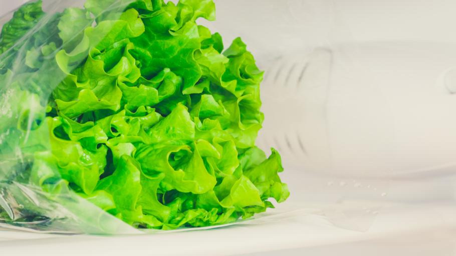 How To Store Lettuce Properly for Long Term Crispy Crunchy Leaves