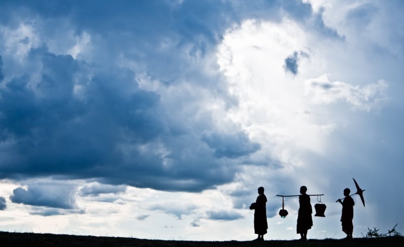 The Half Known Life: In Search of Paradise