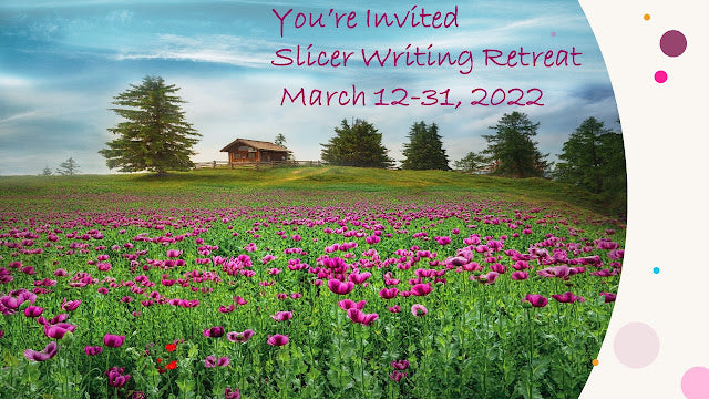 A Slicer Party #SOL22