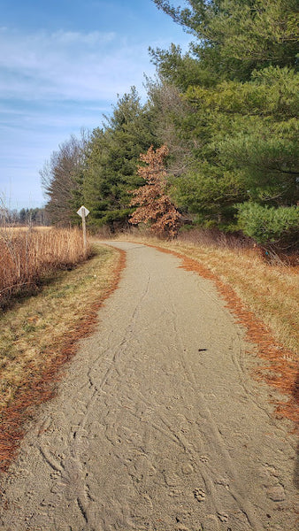 new year’s day and new china hutch