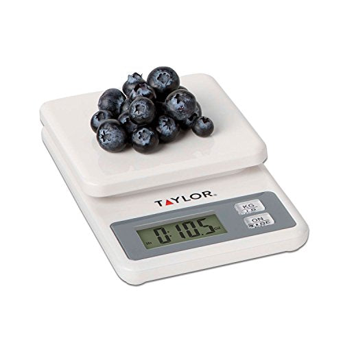 Best 16 Compact Digital Scales